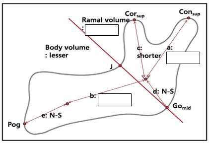 묶음 개체입니다.